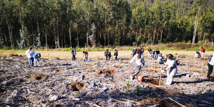 Trees planting activitiy_01