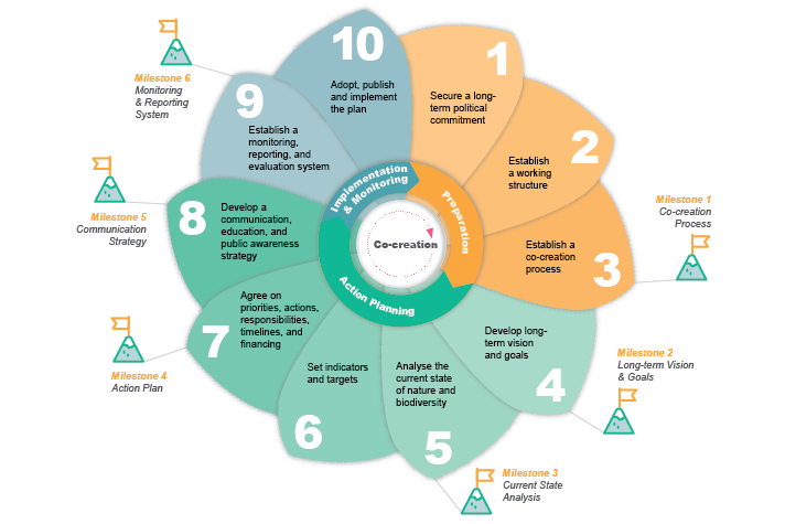 Urban greening plan cycle steps: Secure a long-term political commitment; Establish a working structure; Establish a co-creation process; Develop long-term vision and goals; Analyse the current state of nature and biodiversity Set indicators and targets; Agree on priorities, actions, responsibilities, timelines, and financing; Develop a communication, education, and public awareness strategy; Establish a monitoring, reporting, and evaluation system; Adopt, publish and implement the plan