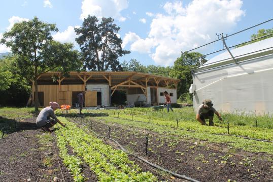 farmers working in a field in Grenoble