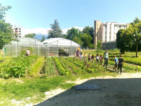 A diverse group of individuals standing in front of a lush vegetable garden, showcasing their love for gardening and sustainable living.