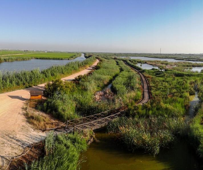 Landscape of Valencia, European Green Capital 2024