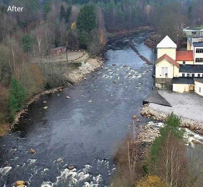 The free-flowing river