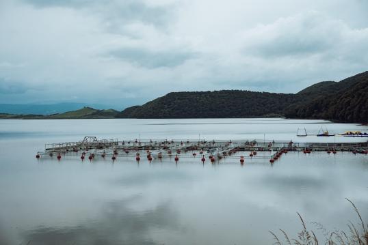 Aquaculture