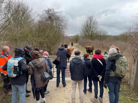 people in a thematic visit in the nature