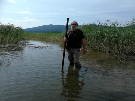 Water level measurement prior restoration