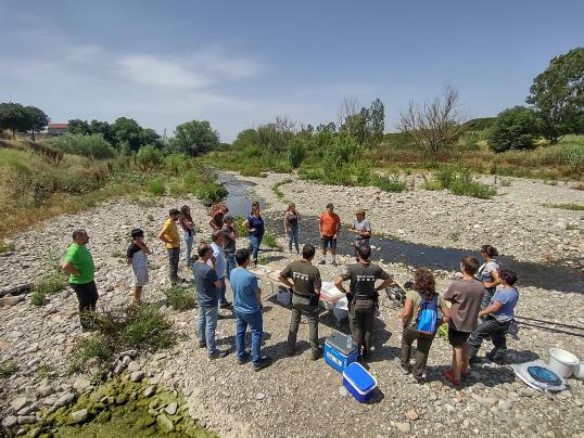 agents formation: people in nature with a stream