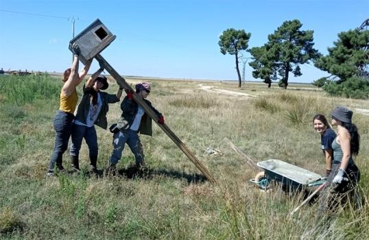 Installation of an owl nest box: Spain 2023