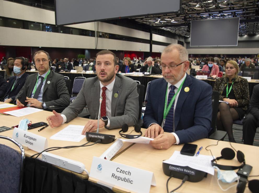 Commissioner Sinkevičius and Dr. Ladislav Miko, among other representatives, attending plenary.