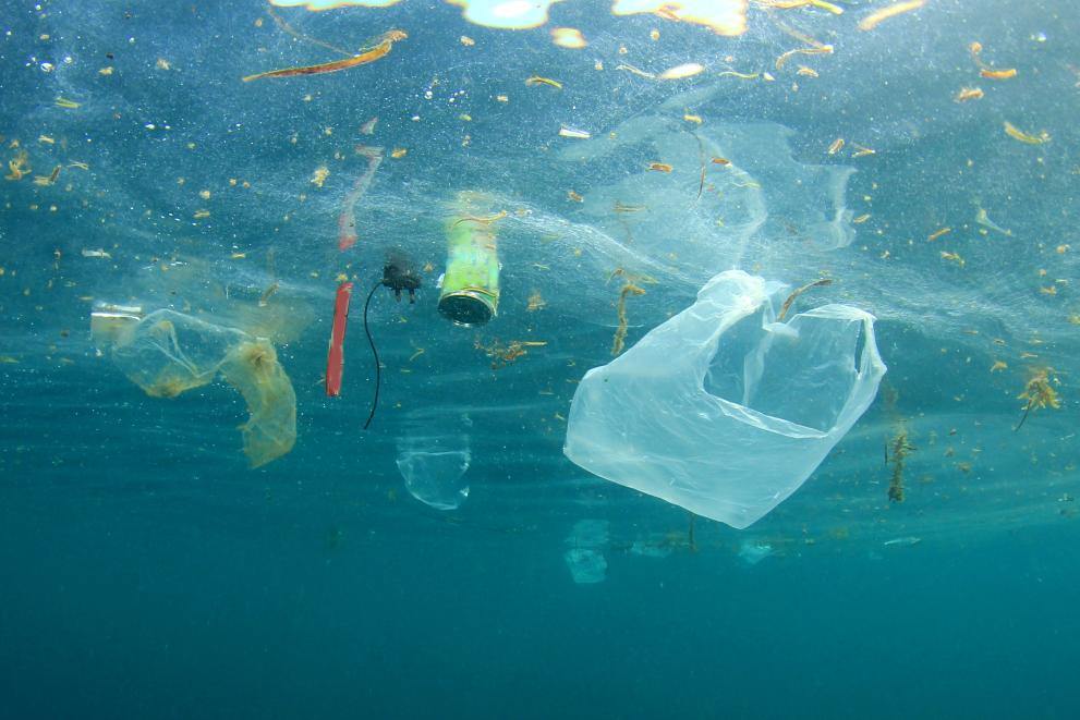 Plastic litter floating in the water.