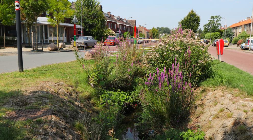 Restoring natural streams into the city