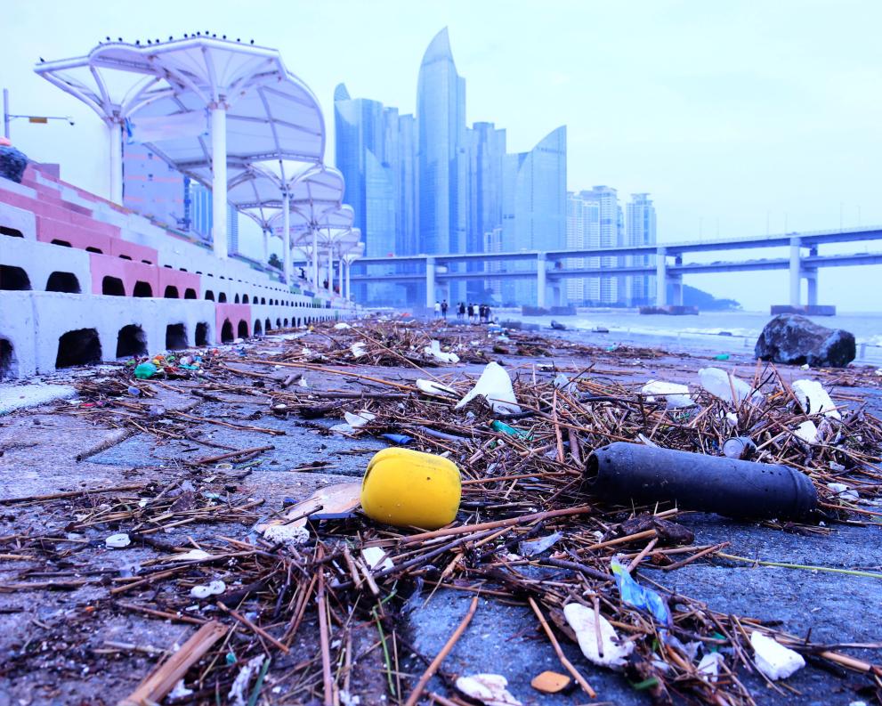 Plastic pollution appears at a beach in Busan, South Korea