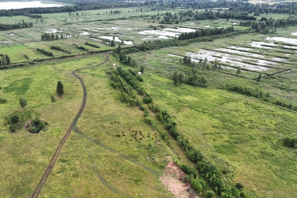 A site for the LIFE Marsh Meadows project