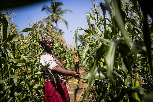 The REACH-STR project enhances water resilience in Northern Ghana 